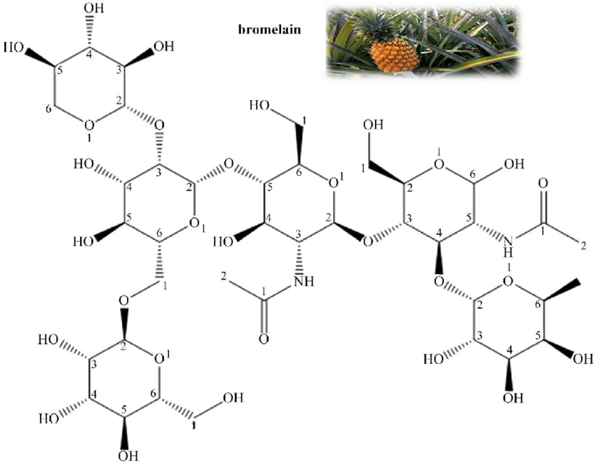 bromelina - struttura chimica